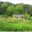 동창농장 이미지