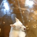 개편한세상 이미지