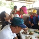 석환농장 이미지