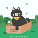 팀메리 이미지