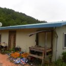 한반도면-3 이미지