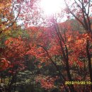 [용인 상록포럼 산악회] 11월 정기산행 - 치악산 향로봉 이미지