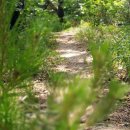 애막골 등산로 입구 이미지