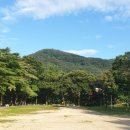 THE 파란 이미지