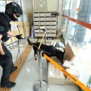 고양시청 본관 이미지