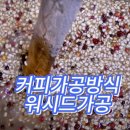 상봉서울바리스타학원 이미지
