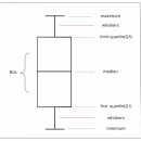 플룻(plot)