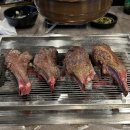 항방 양꼬치 장한평점 | [장안동 양꼬치 맛집] 항방양육관 장안점 양갈비 솔직 후기