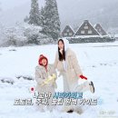 나고야 시라카와고 포토존, 주차, 라이트업, 방문 꿀팁 완벽 가이드