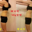 36.5체온다이어트 이미지