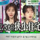 초록의파랑 이미지