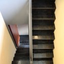 베이지 꽃 이미지