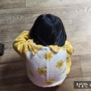 착실한베짱이 이미지