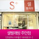 셀세탁소 이미지