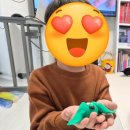 우리 아기의 첫 성장 클래스 프리미엄 몬테소리 | 전주 몬테소리·발도르프 유치부 영어 프로젝트 수업 후기