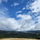 초원의 언덕 이미지