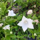 논어이야기 이미지