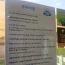 즐거운 강아지 | 용인애견카페 뛰뛰댕댕 바베큐 맛집 후기! 강아지도 사람도 즐거운 곳 ㅎㅎ