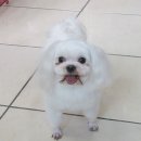 보스PC 이미지