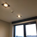 데이바이디 이미지