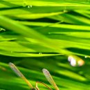 새에덴공인중개사사무소 이미지