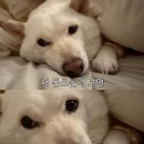 나도 일상