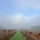 스테이 경화 이미지