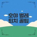감염병으로부터 우리 아이 건강하게 키우기 | 호야키우기와 흰솜깍지벌레 퇴치법은?