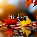 10월 31일(목) 충주 비내길 및 여주 강천섬 여행길에 관한 건 !!! 이미지