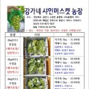 강가네농장 이미지