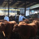 이상문농장 이미지