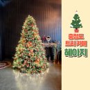 충청도 크리스마스 감성 카페 대형트리 예산카페 혜이지