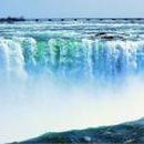 신수치과의원 이미지