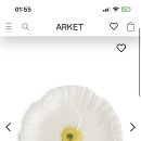 라파엘플라워