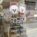 예쁜댕 이미지