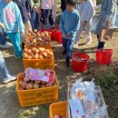 화촌농장 이미지