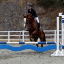 함안 승마장 이미지