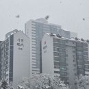 샛별공인중개사사무소 이미지