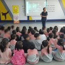 느리울유치원 이미지