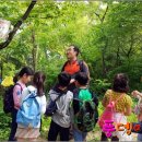 아이큰숲교육
