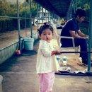 화제낚시터 이미지