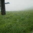 수양목장 이미지