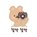 바르다펫 중화점 네이버블로그