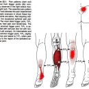 더의선한의원 이미지