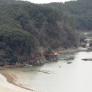 감천2동-8 Daum카페