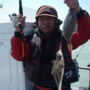 고하대로 672 ~672-1 이미지