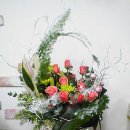 예화디자인 Daum카페
