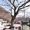 장월경로당 이미지