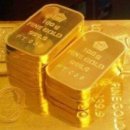 어시장횟집 이미지