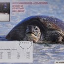 FT4GL, Glorieuses Is. (AF-011) QSL-Cards 이미지